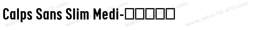 Calps Sans Slim Medi字体转换
